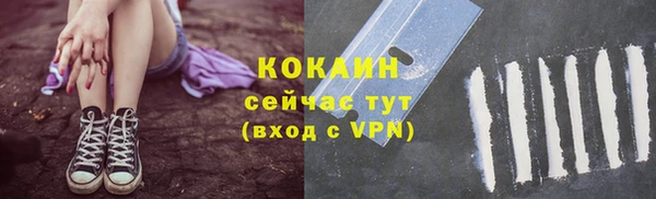 мет Заводоуковск