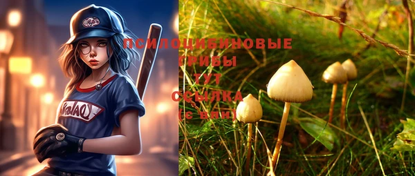 мет Заводоуковск